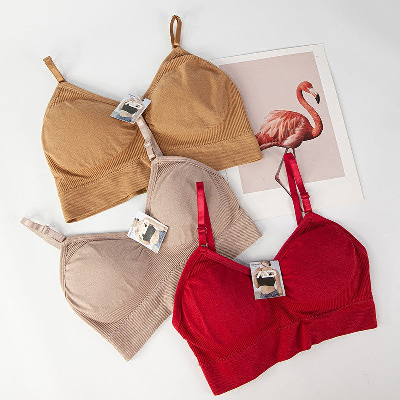 Kit 3 Sutiãs Cropped Sem Costura - Máximo Conforto e Sustentação