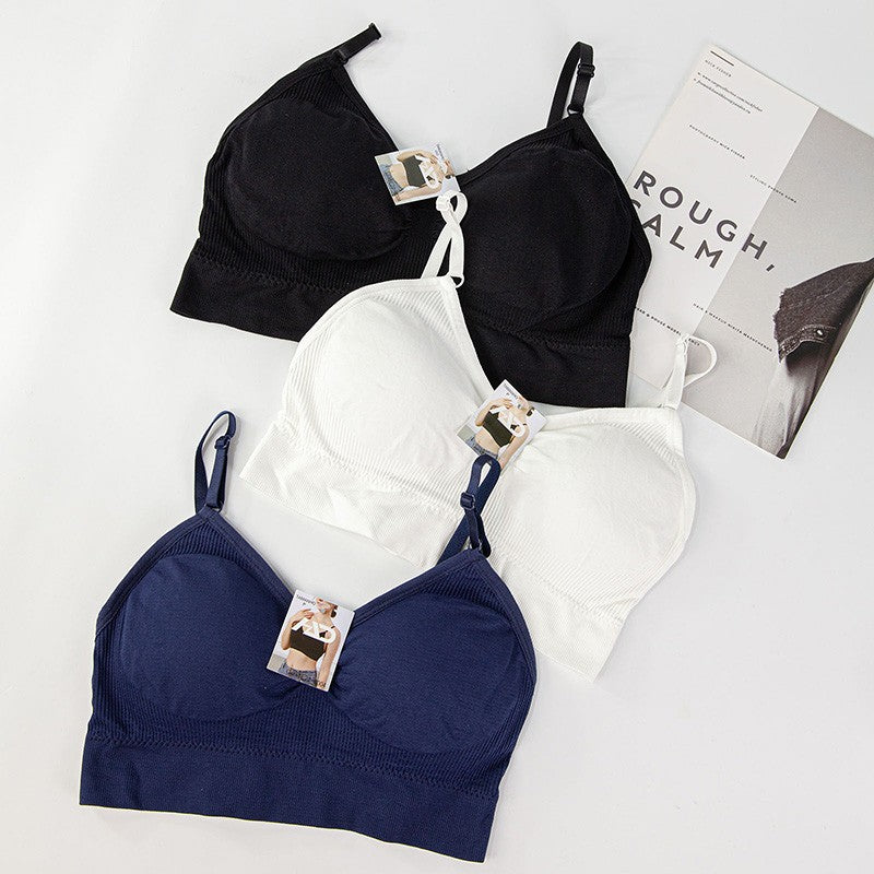 Kit 3 Sutiãs Cropped Sem Costura - Máximo Conforto e Sustentação